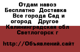 Отдам навоз .Бесплатно. Доставка. - Все города Сад и огород » Другое   . Калининградская обл.,Светлогорск г.